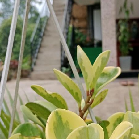 Ella Glory Inn Luaran gambar