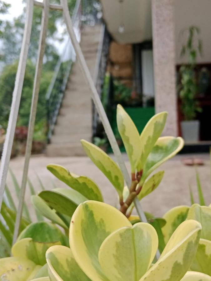 Ella Glory Inn Luaran gambar